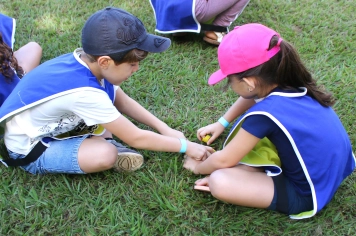 Foto - 4ª COLÔNIA DE FERIAS.
