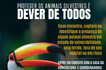 PROTEGER OS ANIMAIS SILVESTRES É DEVER DE TODOS!