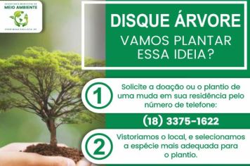 PREFEITURA PEDRINHAS PAULISTA LANÇA O DISQUE ÁRVORE.