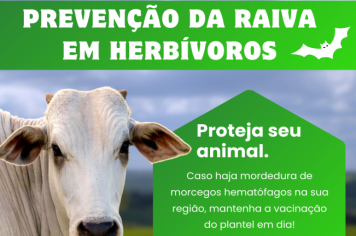 PREVENÇÃO DA RAIVA EM HERBIVOROS. 