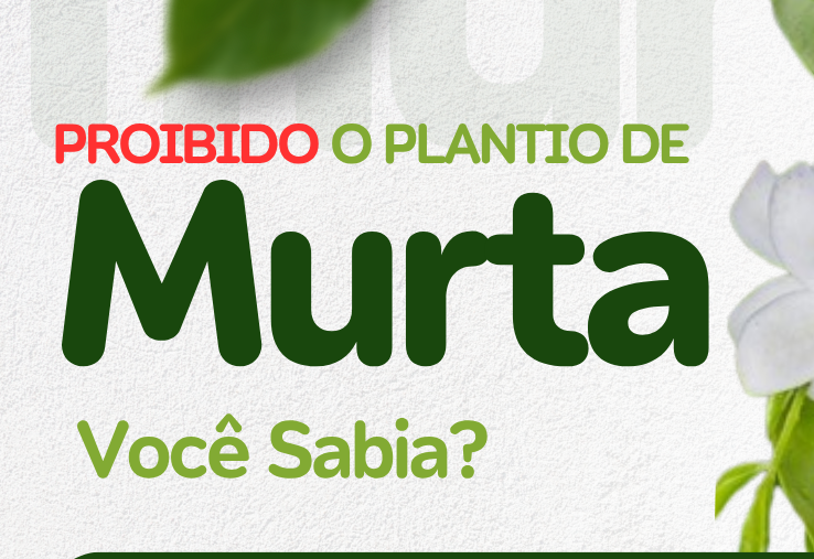 CAMPANHA DE ERRADICAÇÃO E PROIBIÇÃO DO PLANTIO DE MURTAS.