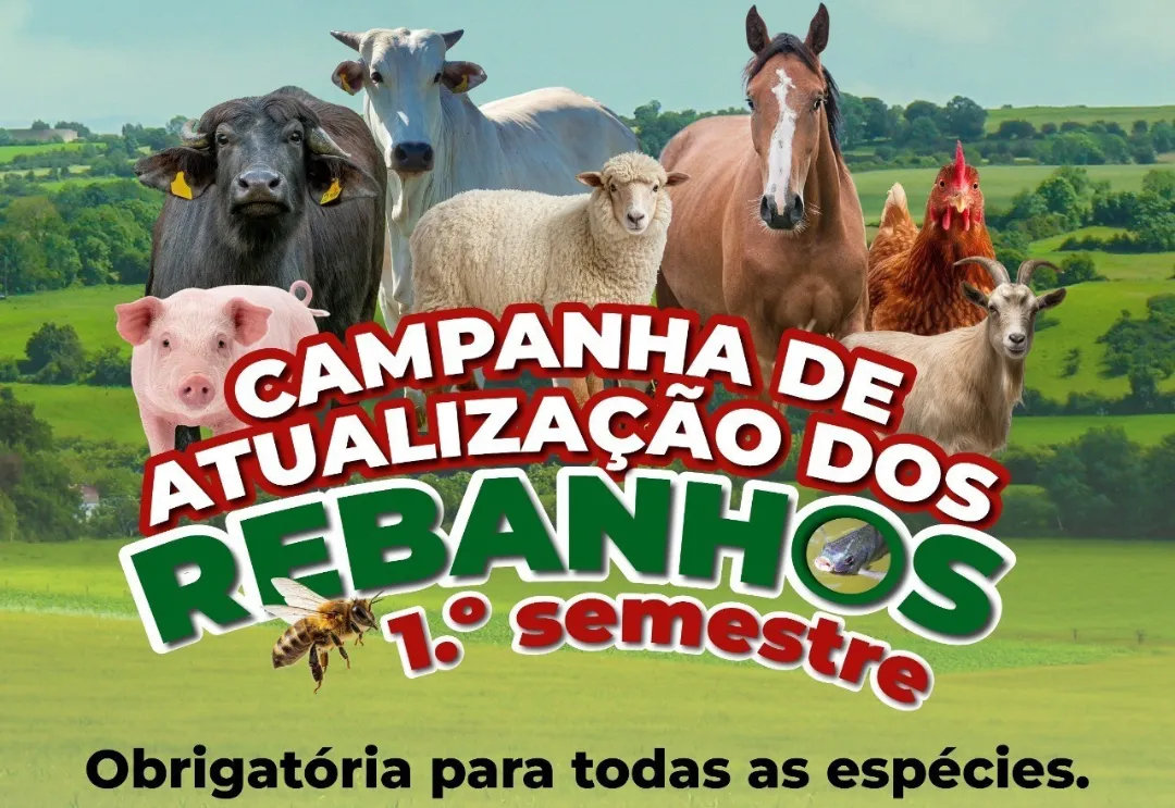 CAMPANHA DE ATUALIZAÇÃO DE REBANHOS 2026.