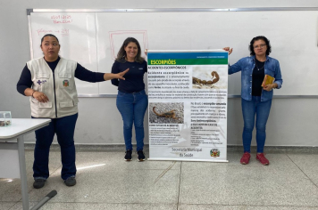 PREFEITURA MUNICIPAL INTENSIFICA AÇÕES DE COMBATE AO ESCORPIÃO